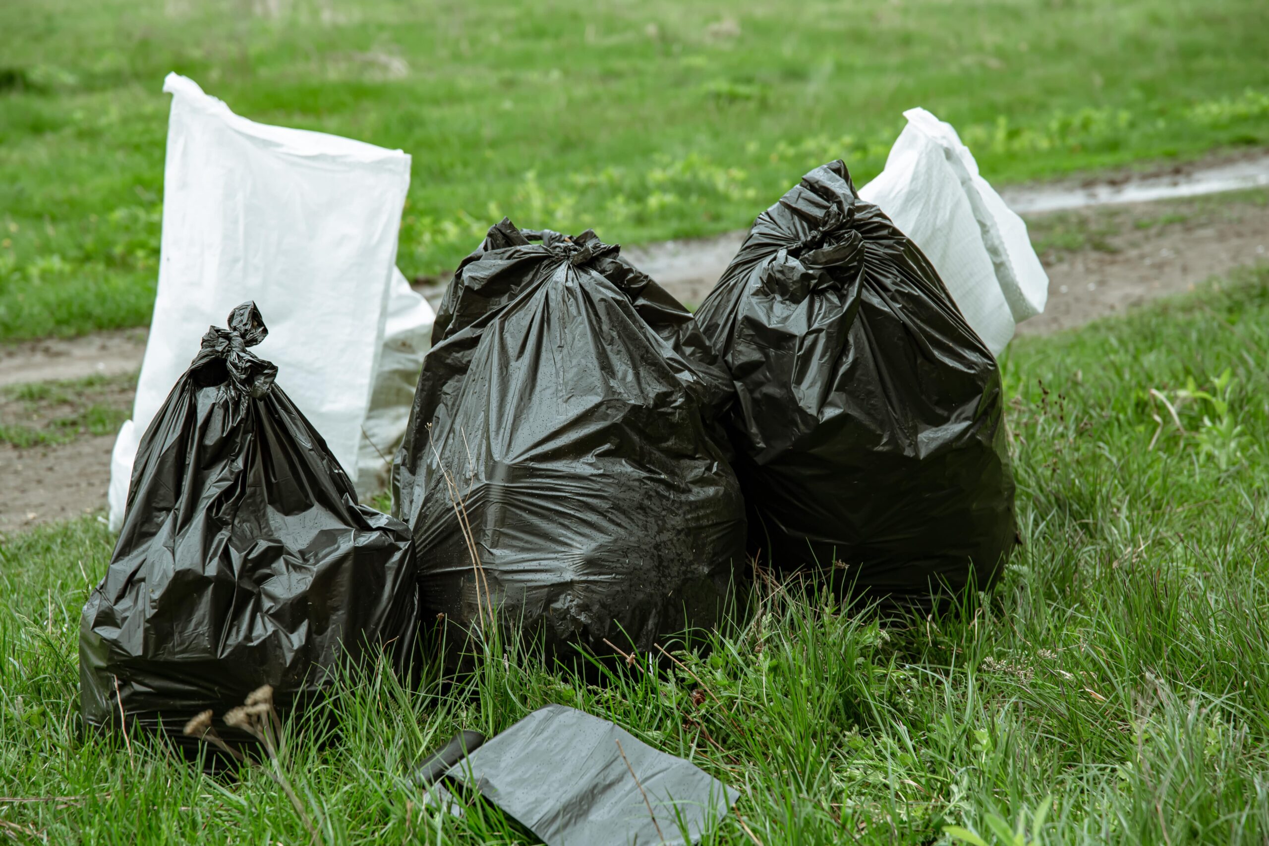 Loose and Mixed Waste removal
