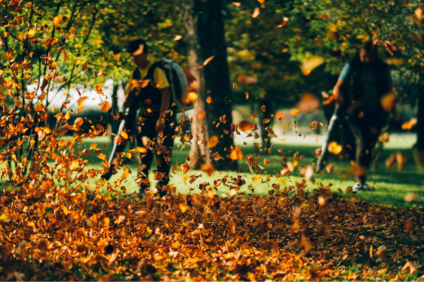 Fall Clean Un in Edmoton