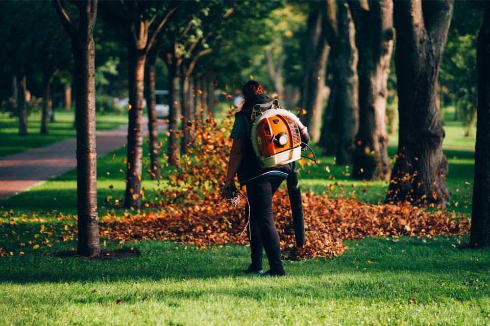 Fall Clean Up Edmonton