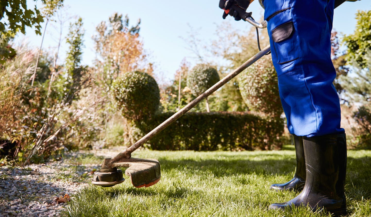 Lawn Moving Service on Edmonton
