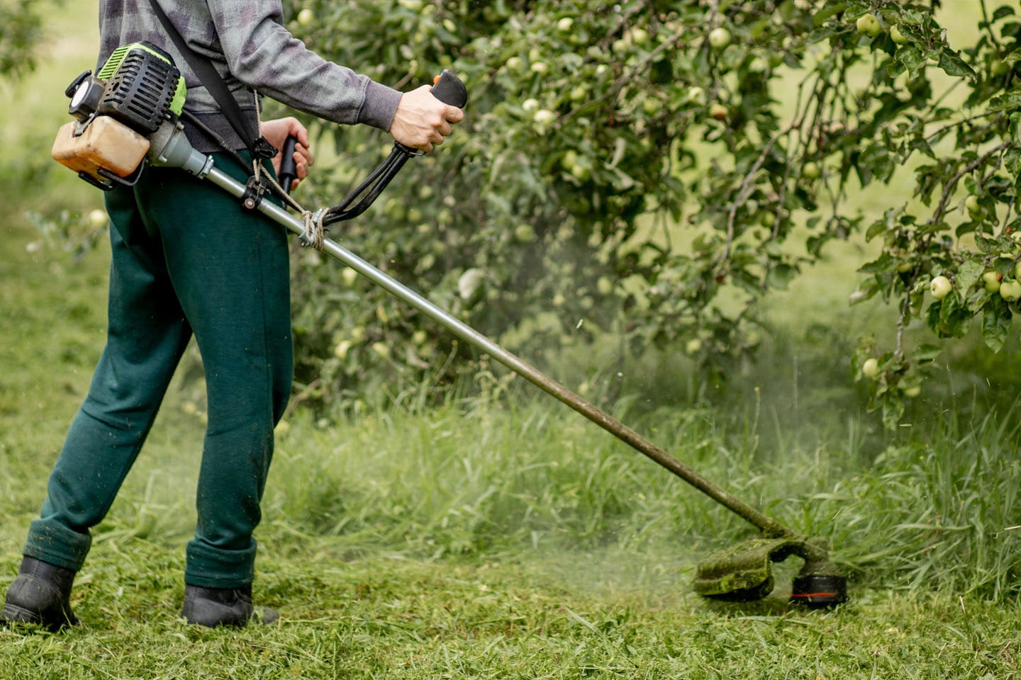 lawnmovingservice_yard