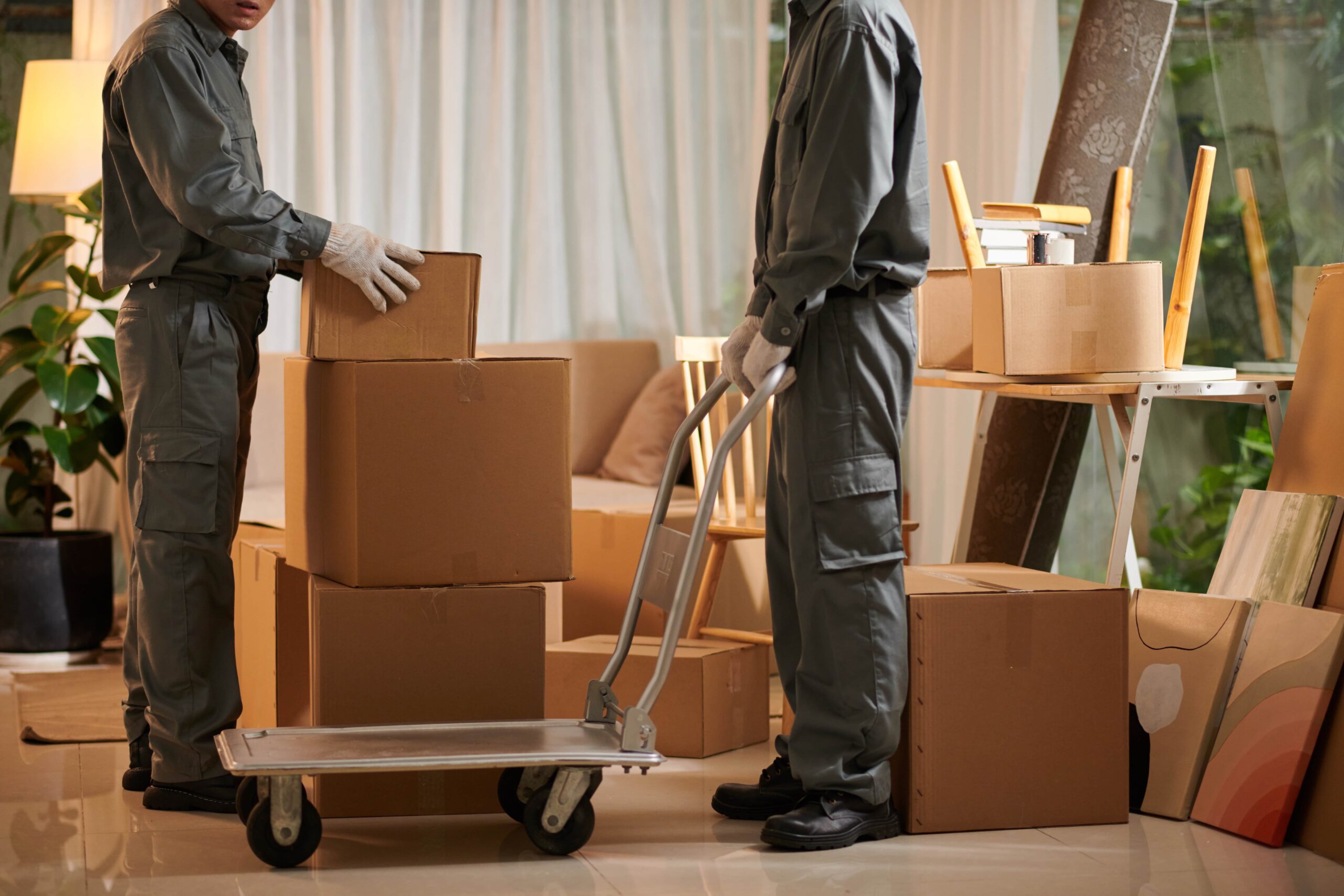 profitable moving with SoftMoving