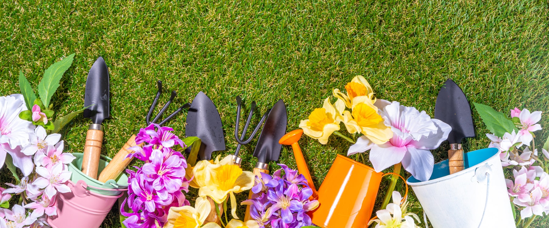 spring-clean-up-services