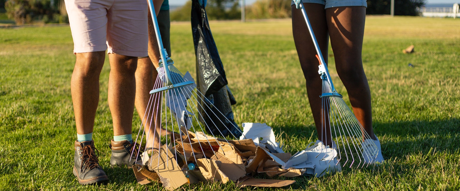 spring-clean-up-services_