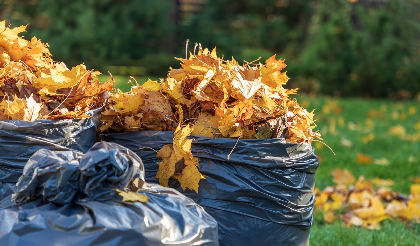 yard waste removal Edmonton_-min