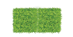 Average Yard