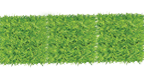 Large Yard