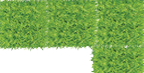 Oversized Yard